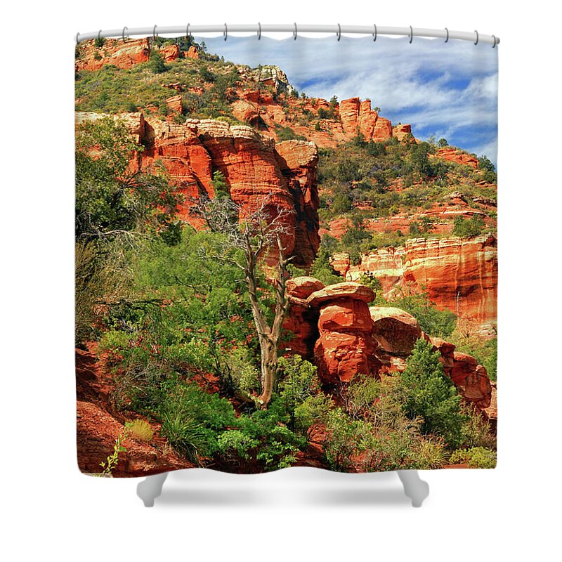 Landscape Shower Curtain featuring the photograph Sedona I by Ron Cline