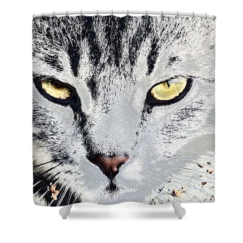 Eyes Shower Curtain featuring the photograph See You by Vesna Martinjak