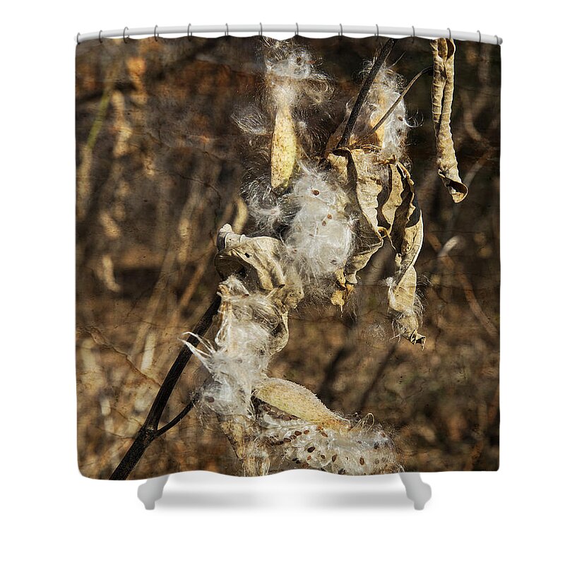 Seed Shower Curtain featuring the photograph Seed Pods and Textures by Alana Ranney
