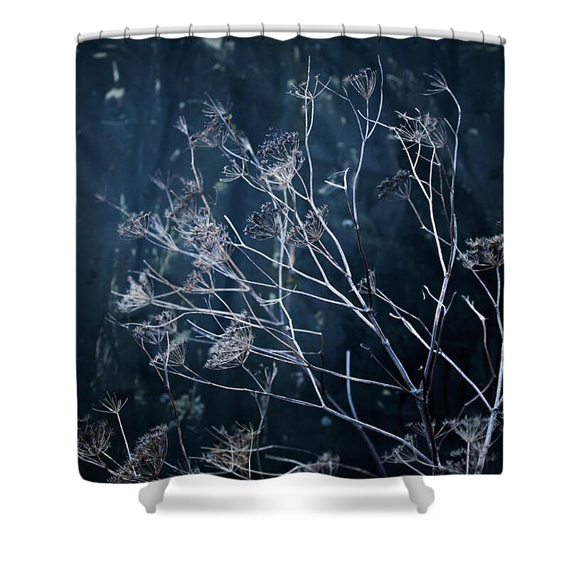  Shower Curtain featuring the photograph Seedheads and Tarpaulin by Anita Nicholson