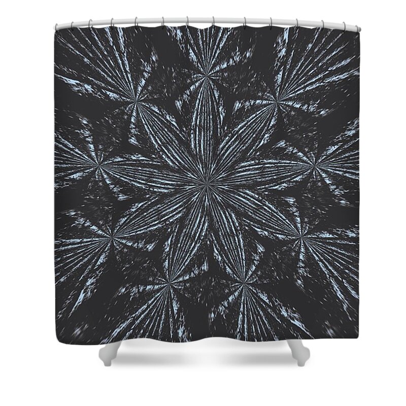 Rsa_graphics Shower Curtain featuring the photograph Seeds by Bob Hedlund
