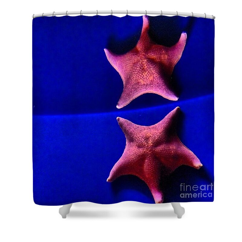 Star Fish Shower Curtain featuring the photograph Seeing Double by Denise Railey