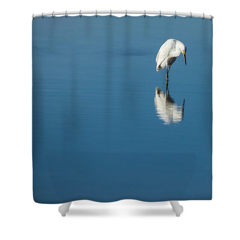 Egret Shower Curtain featuring the photograph Seeing Self Image by Karol Livote