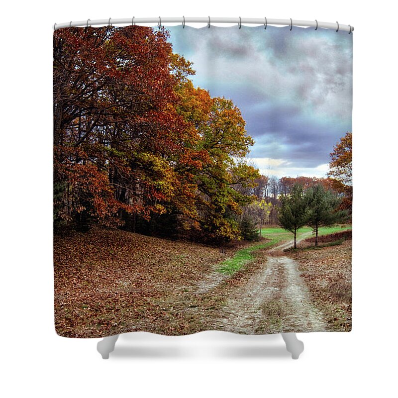 Autumn Shower Curtain featuring the photograph Seldom Traveled 0609 by Michael Peychich