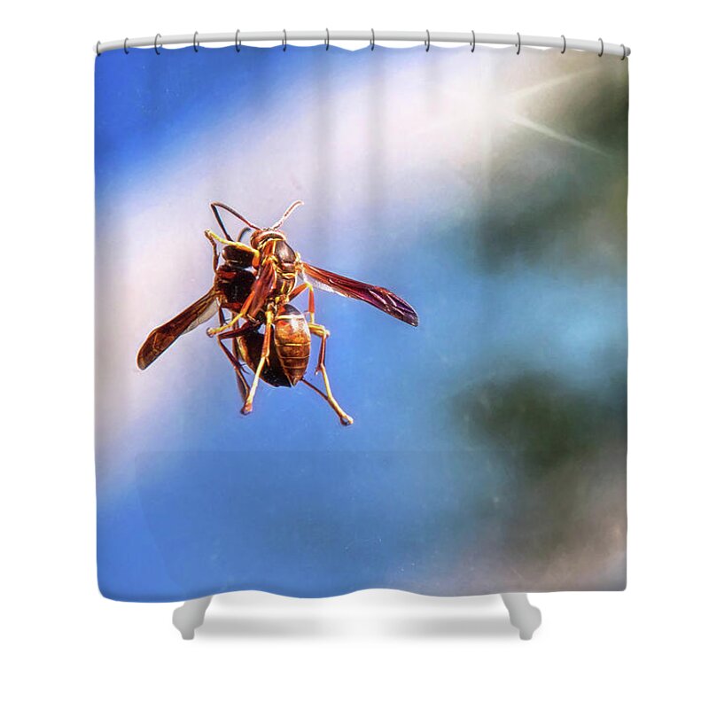 Wasp Shower Curtain featuring the photograph Self Reflection by Sharon McConnell
