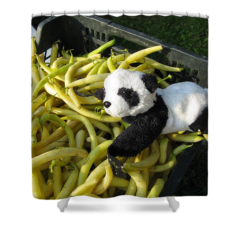 Baby Panda Shower Curtain featuring the photograph Selling beans by Ausra Huntington nee Paulauskaite