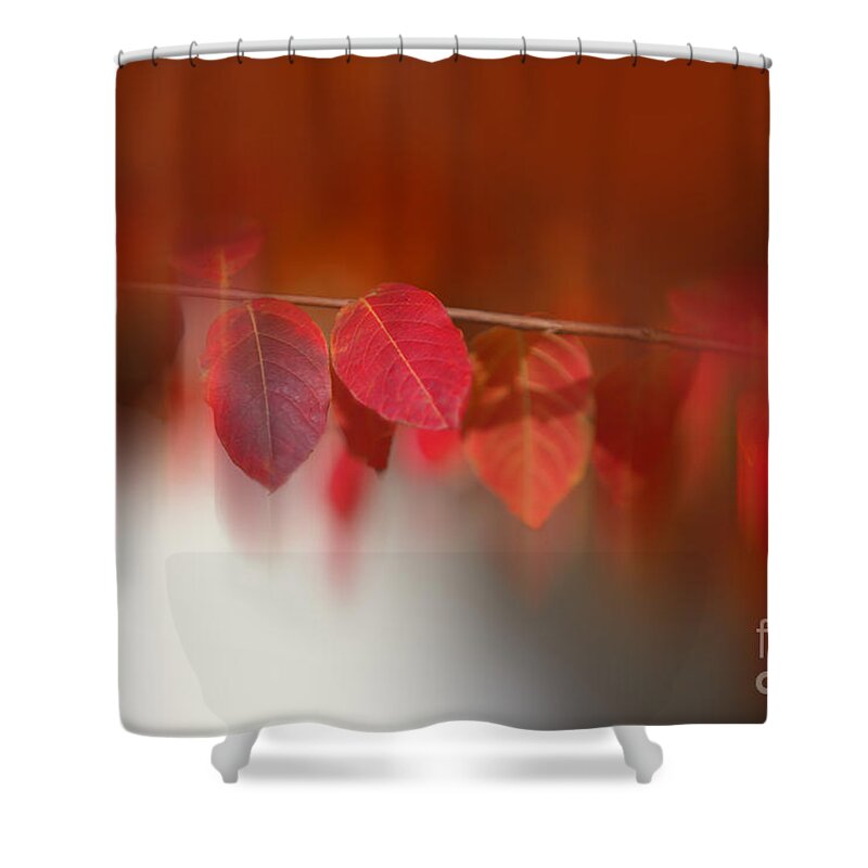 Nature Shower Curtain featuring the photograph Semi Abstract Red Leaves by Linda Phelps