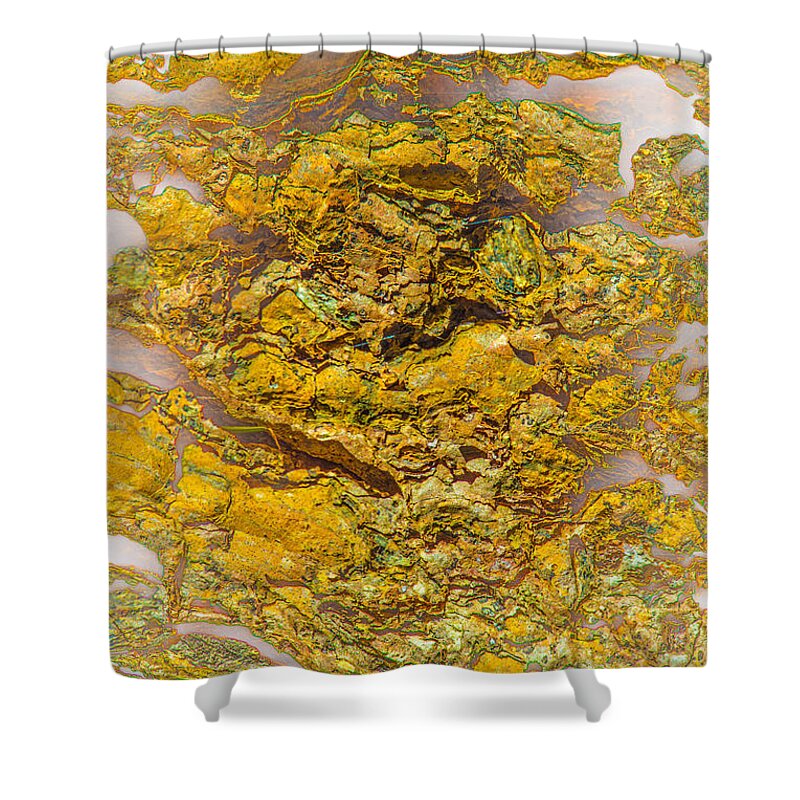 Tree Shower Curtain featuring the photograph Semi Translucent Bark Abstract by Bruce Pritchett