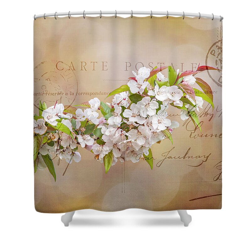 Apple Shower Curtain featuring the photograph Sending Spring by Cathy Kovarik