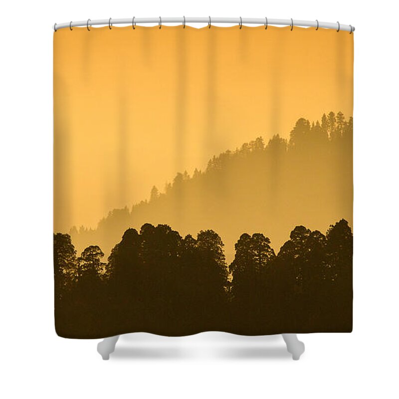 Natural Forms Shower Curtain featuring the photograph Sequoia Sunset by Rikk Flohr