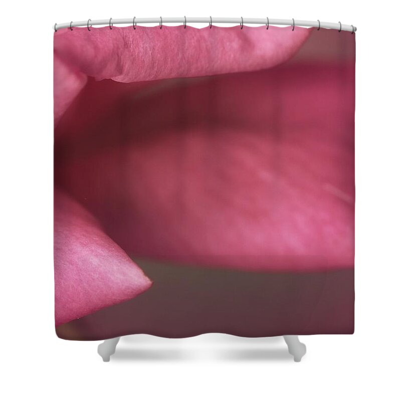  Shower Curtain featuring the photograph Sera... by The Art Of Marilyn Ridoutt-Greene