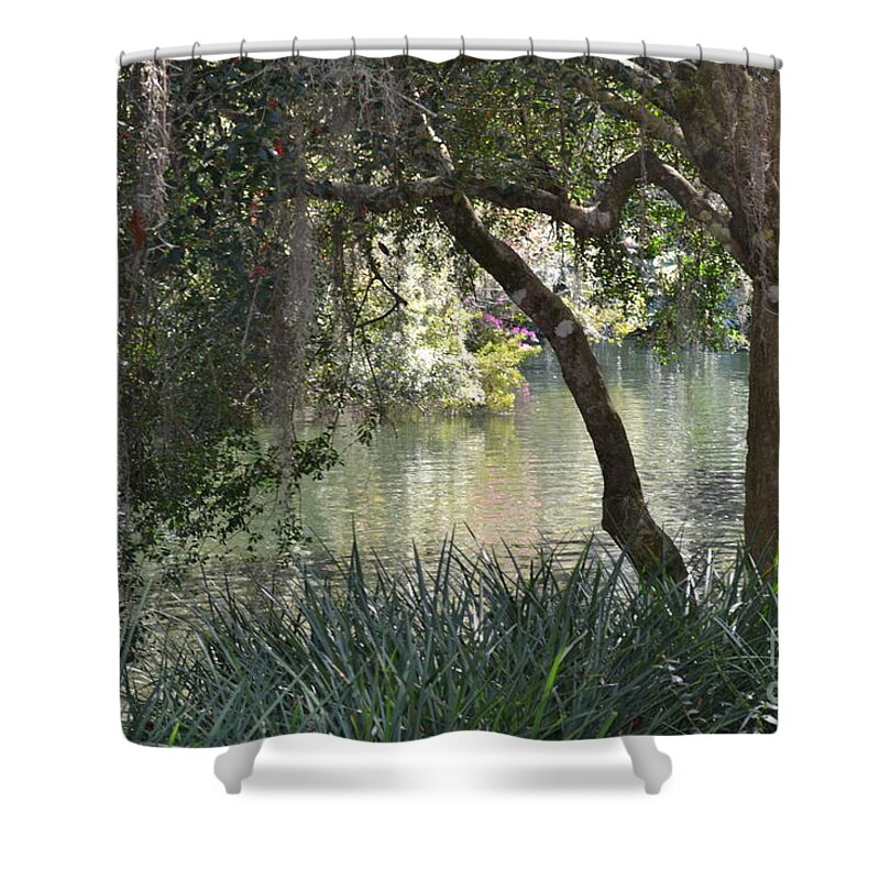 Landscape Shower Curtain featuring the photograph Serenity by Carol Bradley