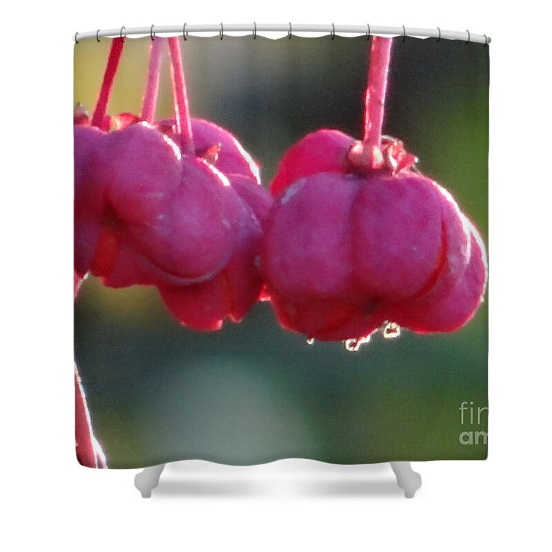 Serenity Shower Curtain featuring the photograph Serenity by Karin Ravasio