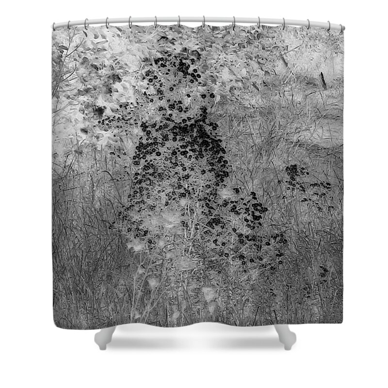 Art Shower Curtain featuring the photograph Series of Black and White 10 by Funmi Adeshina