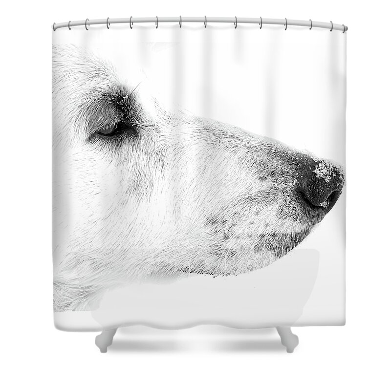 Arvada Shower Curtain featuring the photograph Serious by MKD Lincoln