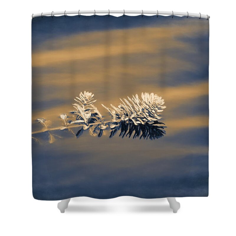 Water Shower Curtain featuring the photograph Set Apart by Carolyn Marshall
