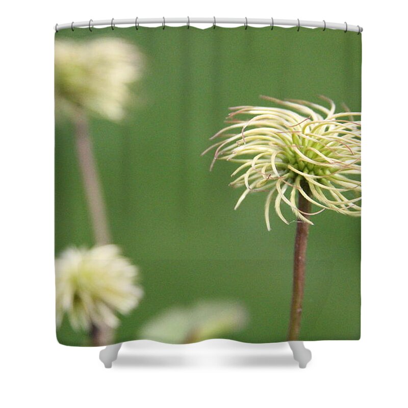Rural Life Shower Curtains