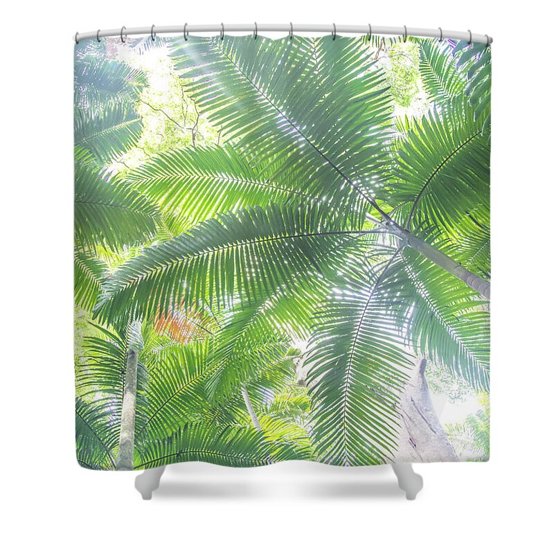 Nature Shower Curtain featuring the photograph Shade Of Eden by Az Jackson