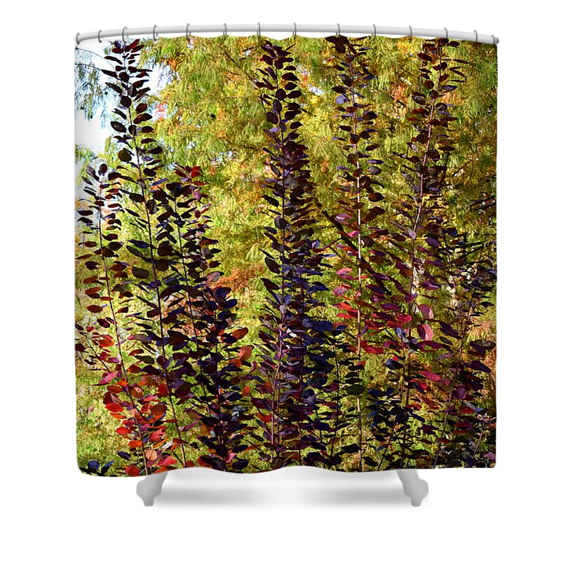 Fall Shower Curtain featuring the photograph Shades of Fall by Deborah Crew-Johnson