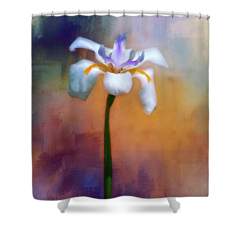 Wild Iris Shower Curtain featuring the photograph Shades of Iris by Carolyn Marshall