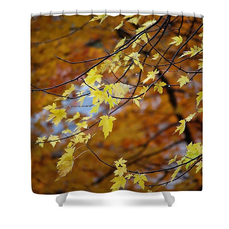 Outdoors Shower Curtain featuring the photograph Shades Of Ochre by Susan Herber
