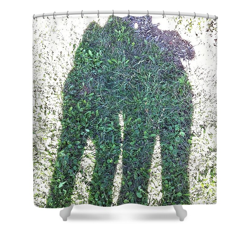 Shadow Shower Curtain featuring the photograph Shadow in the Meadow by Wilhelm Hufnagl