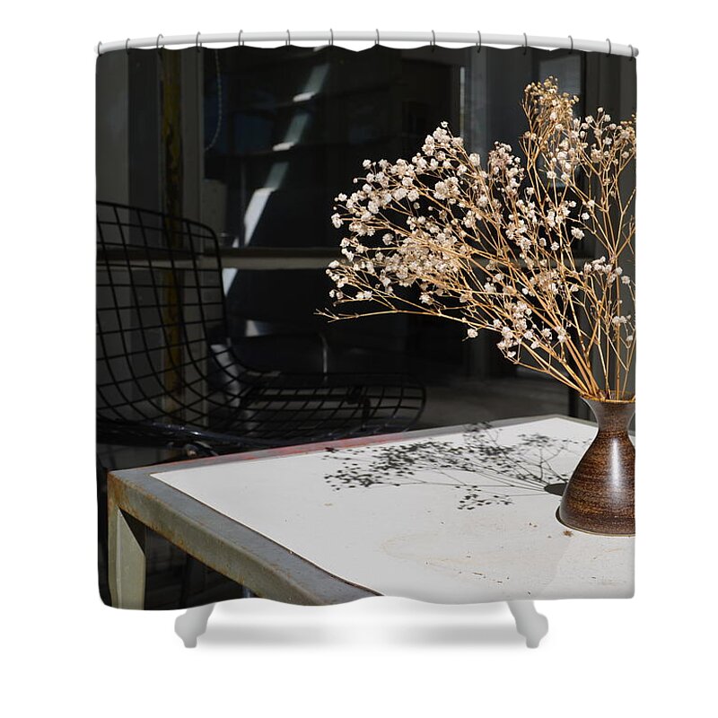 Shadow Shower Curtain featuring the photograph Shadow Play by Gia Marie Houck