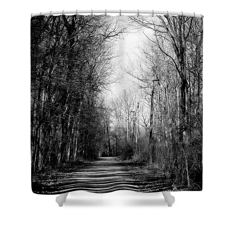 Nature Trail Shower Curtain featuring the photograph Shadow Walk by Shawna Rowe
