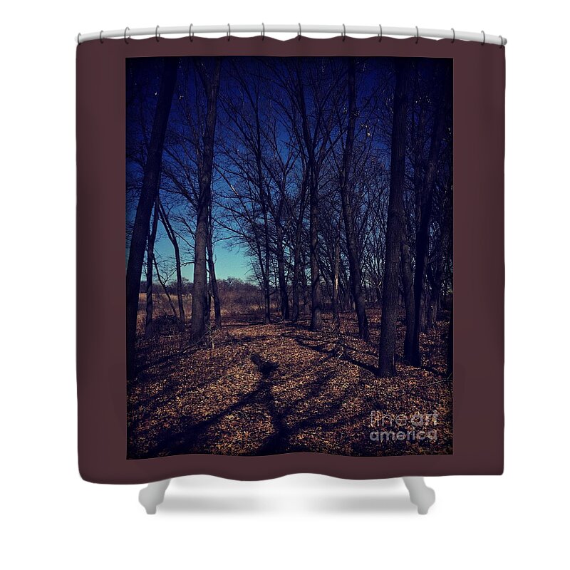 Midwest Shower Curtain featuring the photograph Shadows and Trees Landscape by Frank J Casella