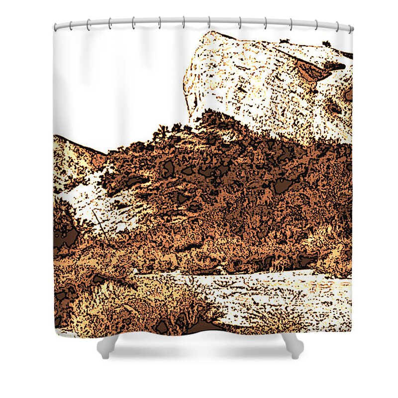 Desert Shower Curtain featuring the photograph Shadows of A Great Rock by Pat Wagner