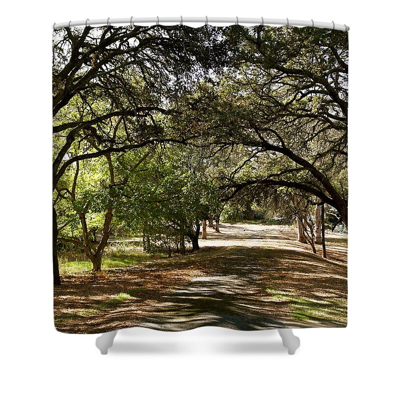 Walk Shower Curtain featuring the photograph Shady Autumn Walk by Michele Myers