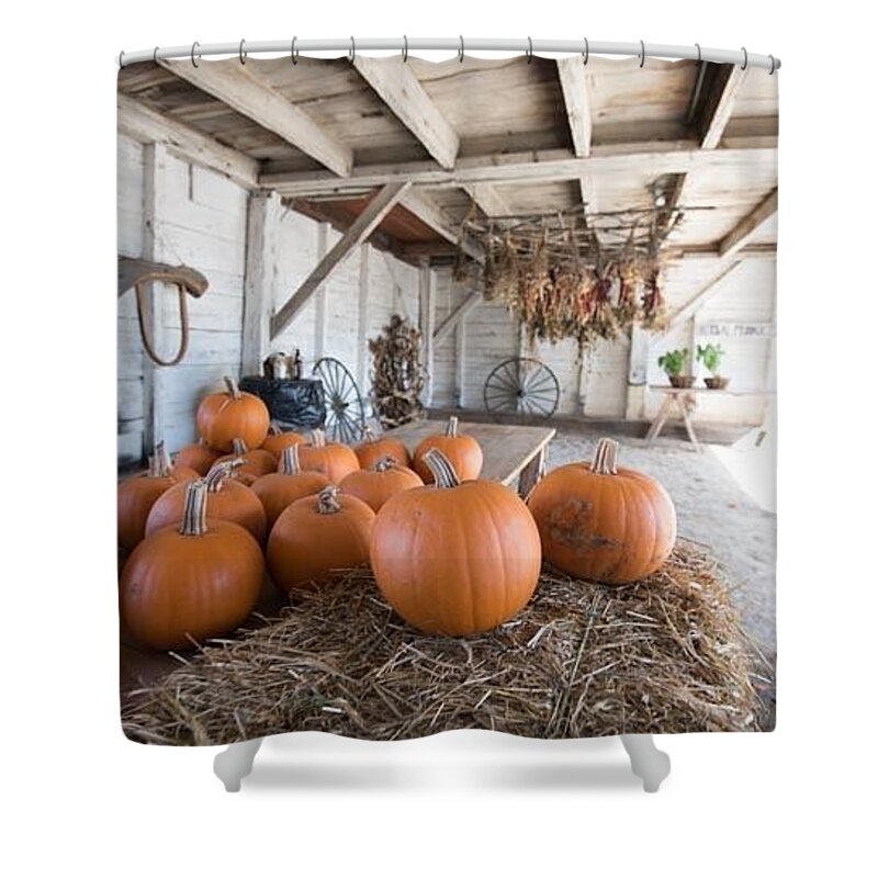 Pumpkins Shower Curtain featuring the photograph Shaker Farm by Patricia Dennis