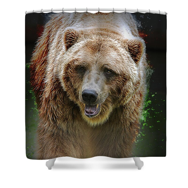Animal Shower Curtain featuring the photograph Shaking It Off by Annette Hugen