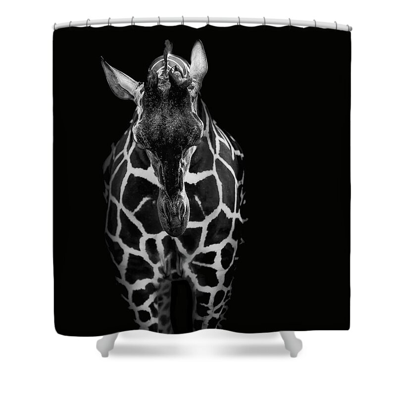 Giraffe Shower Curtain featuring the photograph Shame on me by Paul Neville