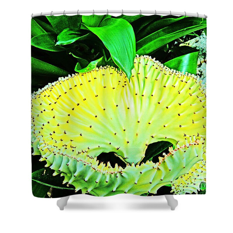 Shower Curtain featuring the photograph Shark Mouth flower in yellows and greens by David Frederick