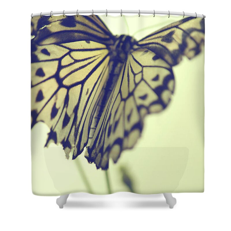Butterflies Shower Curtain featuring the photograph She Lights The Way by The Art Of Marilyn Ridoutt-Greene