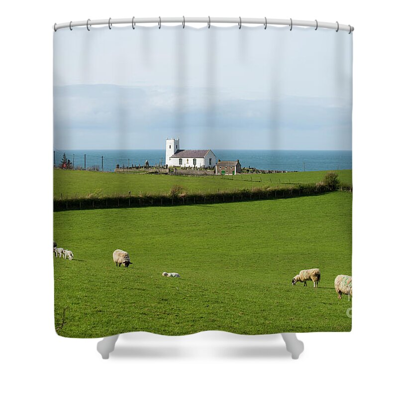 Ballintoy Shower Curtain featuring the photograph Sheep Grazing on Irish Coastline by Juli Scalzi