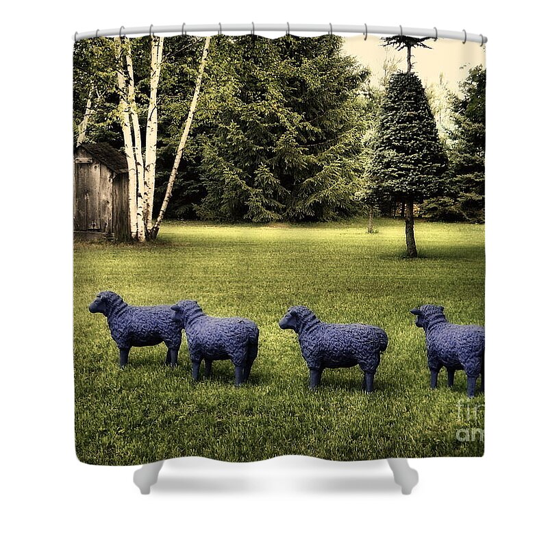Sheep Shower Curtain featuring the photograph Sheep in a Row by Andrea Kollo