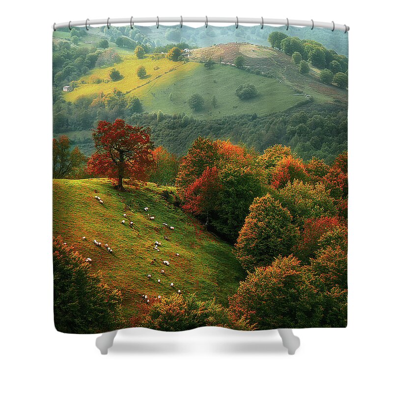 Urepel Shower Curtain featuring the photograph sheep in Urepel at autumn by Mikel Martinez de Osaba