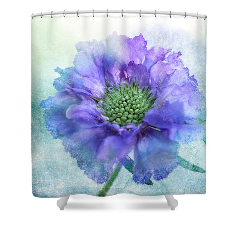 Flower Shower Curtain featuring the digital art Sheer Lilac by Terry Davis