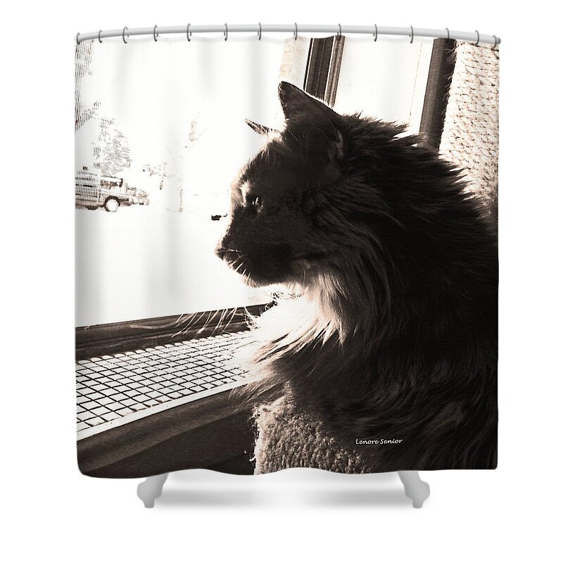 Minimal Shower Curtain featuring the photograph Shelby - Wistful by Lenore Senior