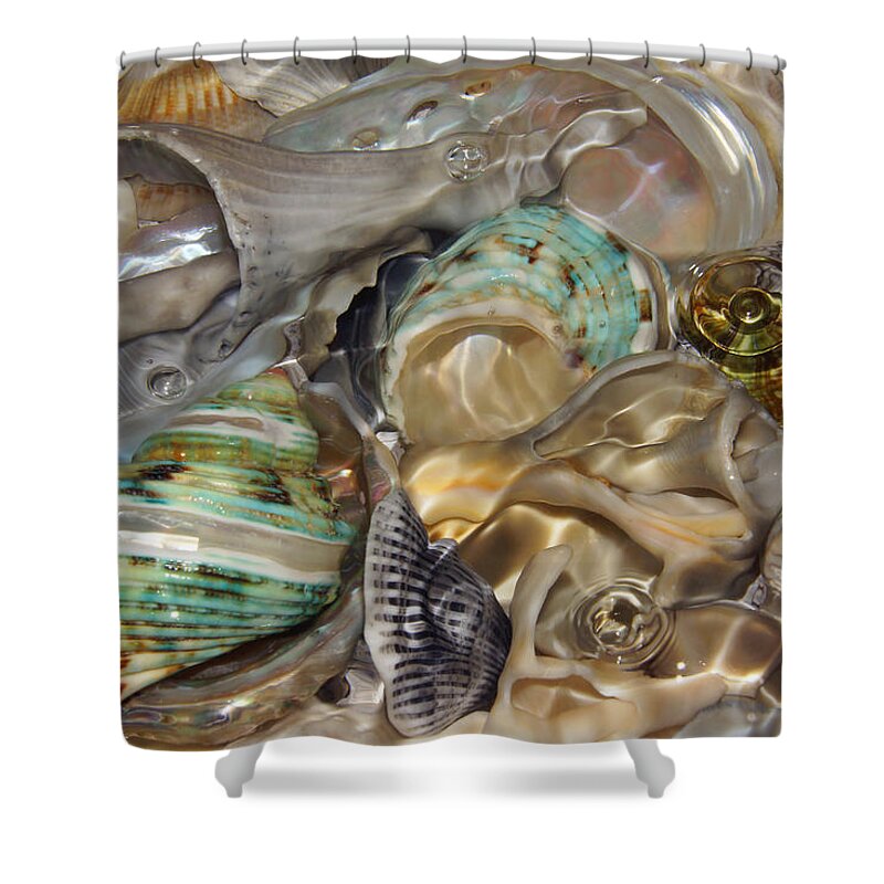 Shells Shower Curtain featuring the photograph Shell Fluidity by Leda Robertson
