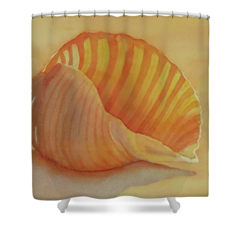 Seashells Shower Curtain featuring the painting Shells 6 by Judy Mercer
