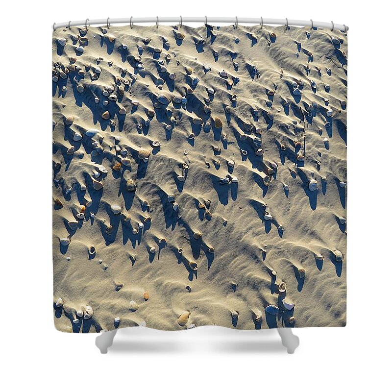 Shells Shower Curtain featuring the photograph Sand, Shells and Shadows by Keith Stokes