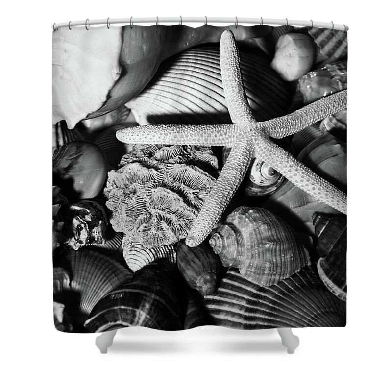 Sea Stars Shower Curtain featuring the photograph Shells and Starfish in Black and White by Angie Tirado