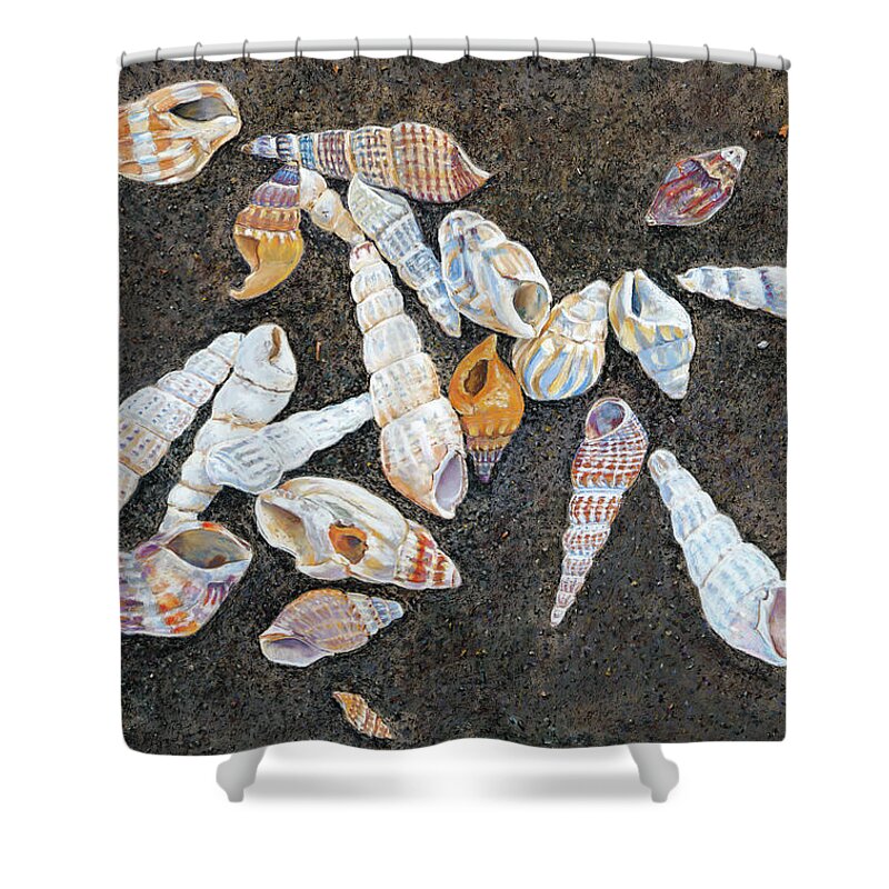 Birdseye Art Studio Shower Curtain featuring the painting Shells from the Sea of Galilee by Nick Payne