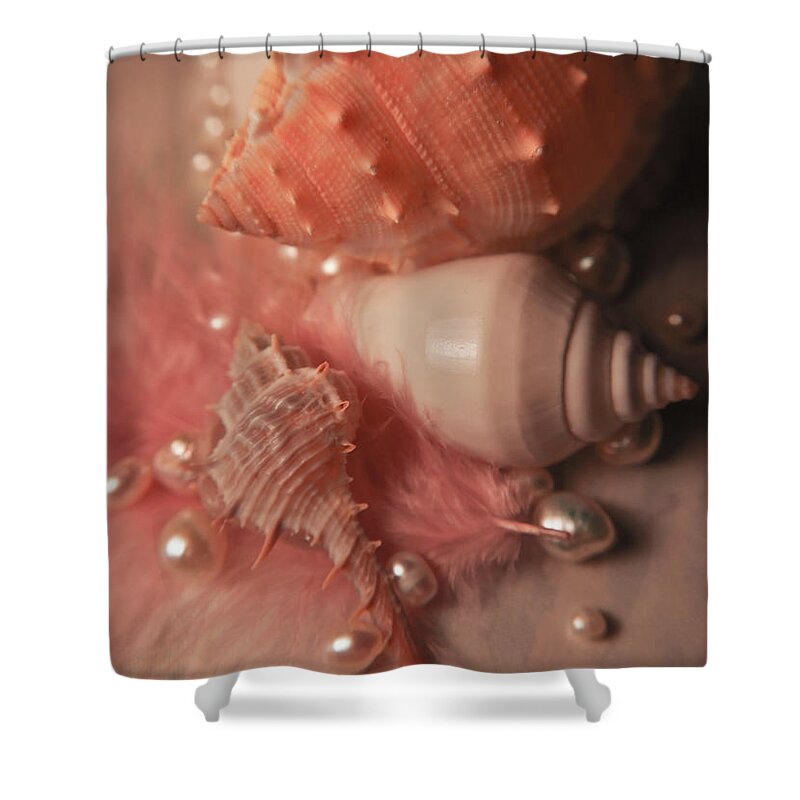 Adria Trail Shower Curtain featuring the photograph Shells Still by Adria Trail