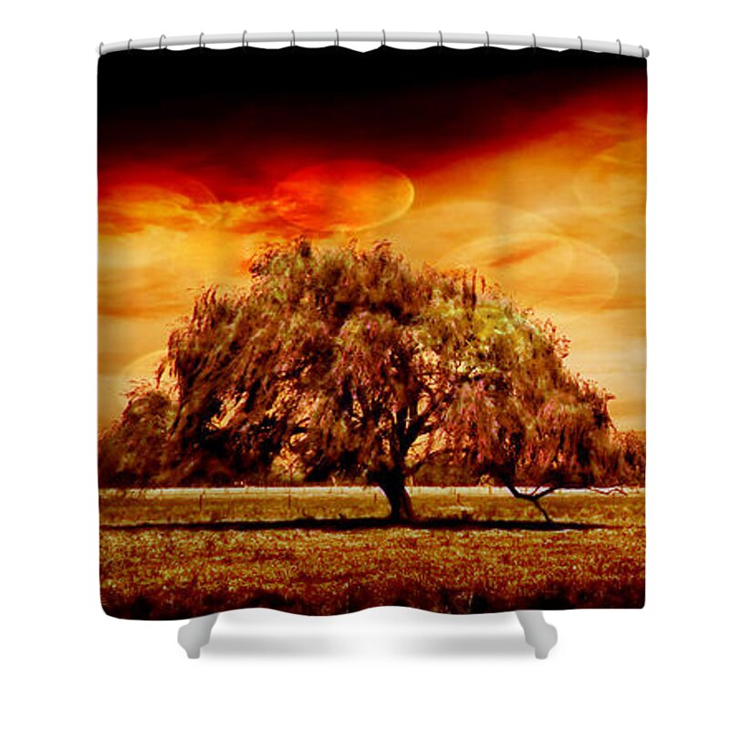 Tree Shower Curtain featuring the photograph Shelter by Az Jackson
