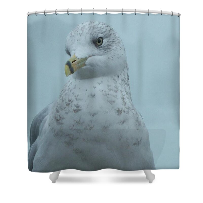 Birds Shower Curtain featuring the photograph She's Over There by Charles HALL