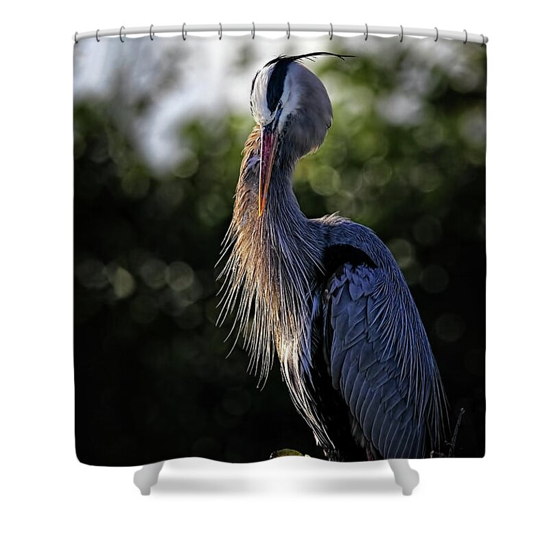 Heron Shower Curtain featuring the photograph Shhhhh by Cyndy Doty